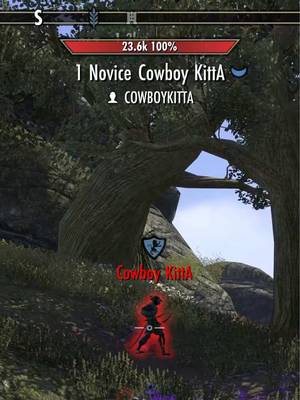 The best way to welcome a novice to cyrodiil