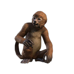 the monkey pet you got for being a player during beta